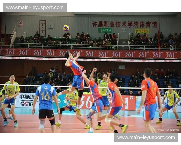 一场触手可及的排球盛宴：排球视频直播带你穿越现场与训练之间